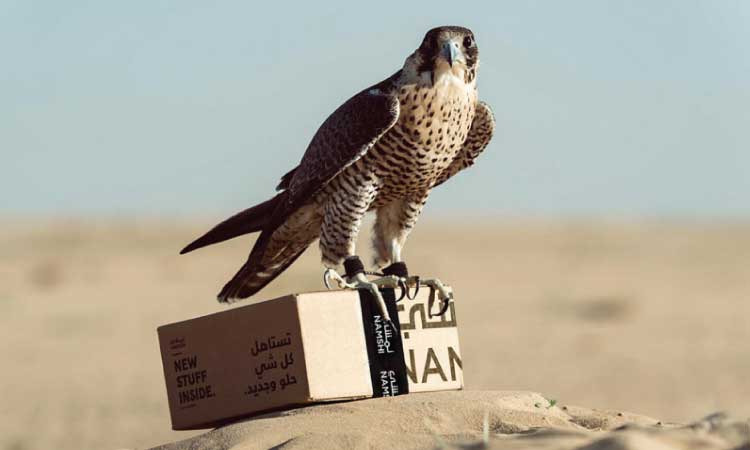 പാർസലുകളെത്തിക്കാൻ ഫാൽക്കൺ പക്ഷികൾ വരുന്നു