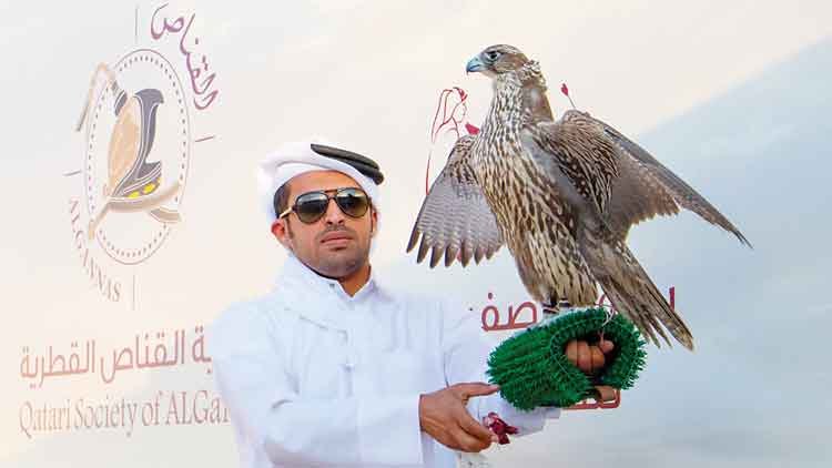 ഇ​സ്​​ഫി​രി ഫാ​ൽ​ക്ക​ൺ മേ​ള:  ലു​സൈ​ൽ, ന​ഖ്ബ ടീ​മു​ക​ൾ വി​ജ​യി​ക​ൾ