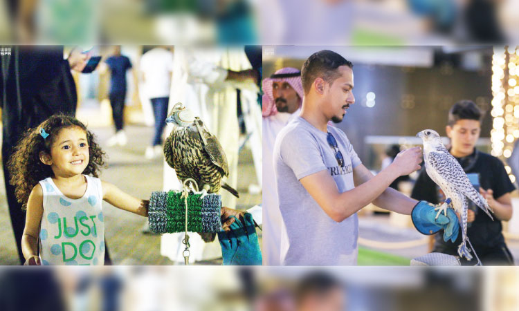 ഫാൽക്കൺ പക്ഷി പ്രദർശനം സമാപിച്ചു