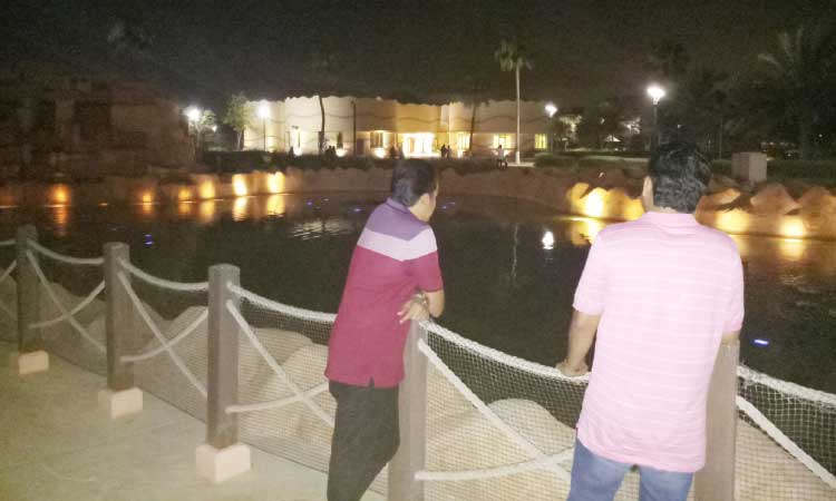 ക്രോ, ​ക്രോം... ത​വ​ള​ക​ളു​ടെ കു​ളം