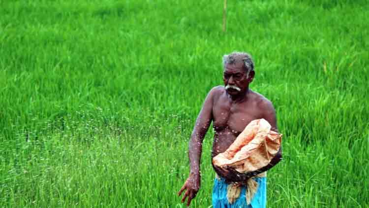 സംസ്ഥാന കര്‍ഷക അവാര്‍ഡുകള്‍ക്ക് അപേക്ഷ ക്ഷണിച്ചു
