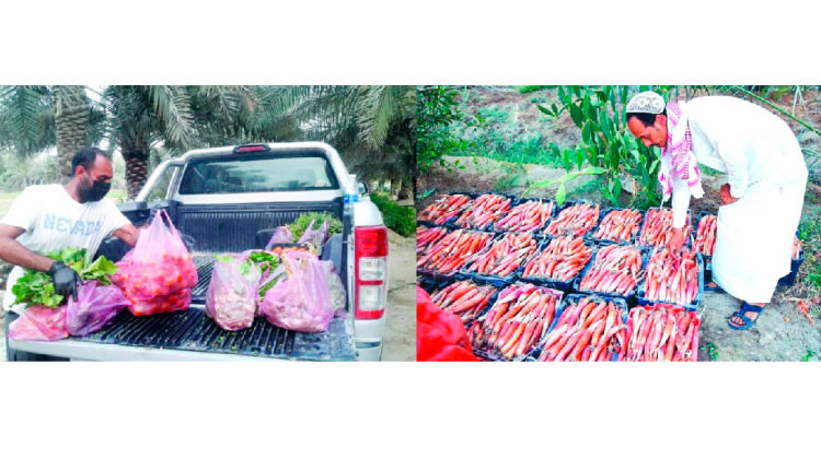 ഇടനിലക്കാരില്ലാതെ ഉ​പ​ഭോ​ക്താ​ക്ക​ളുടെ ഇടയിലേക്ക് അൽഅഹ്‌സയിലെ കർഷകർ