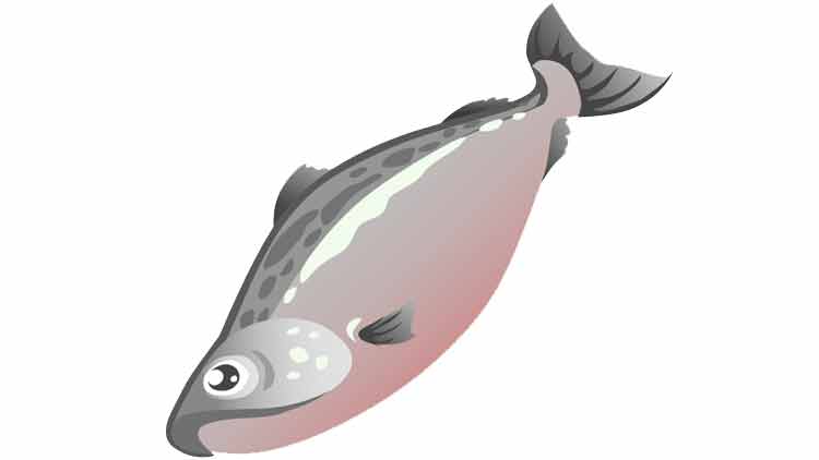 മത്സ്യമാർക്കറ്റിൽ പൊതുജനങ്ങൾക്ക്​ പ്രവേശനമില്ല