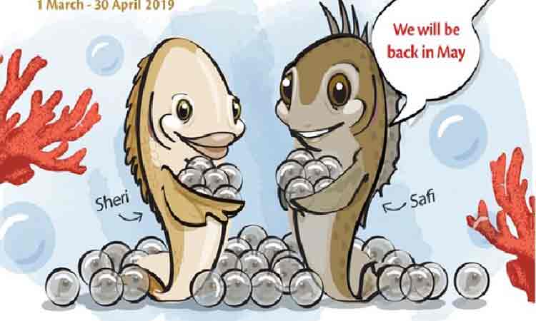 മാ​ർ​ച്ച്​ ഒ​ന്ന്​ മു​ത​ൽ സാ​ഫി, ഷേ​രി മീ​നു​ക​ളെ പി​ടി​ക്കു​ന്ന​തി​ന്​ വി​ല​ക്ക്​