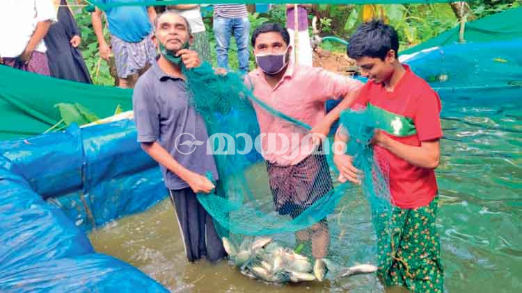 ലോ​ക്ഡൗ​ൺ കാ​ല​ത്ത് കു​ള​ത്തി​ലി​റ​ങ്ങി​യ പി​താ​വി​നും മ​ക​നും മ​ത്സ്യ​വ​ള​ർ​ത്ത​ലി​ൽ നൂ​റു​മേ​നി