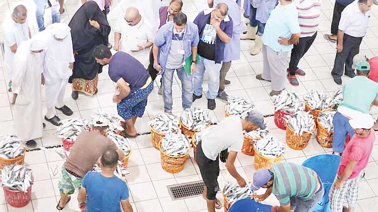 കു​വൈ​ത്തി​ൽ മ​ത്സ്യ​ലേ​ല പ്ര​ദേ​ശ​ത്ത്​  വി​ദേ​ശി​ക​ൾ​ക്ക്​ നി​യ​ന്ത്ര​ണം