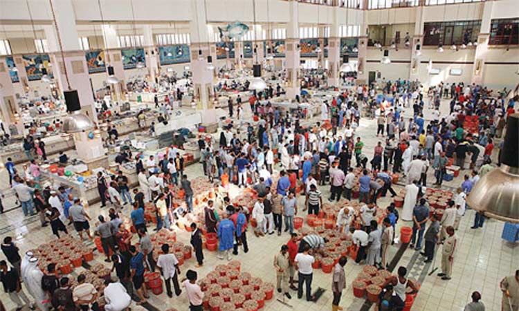 മത്സ്യസമ്പത്തിൽ 25 ശതമാനം കുറവ്​: മത്സ്യ ഫാം തുടങ്ങാൻ  മത്സ്യവിഭവ അതോറിറ്റി