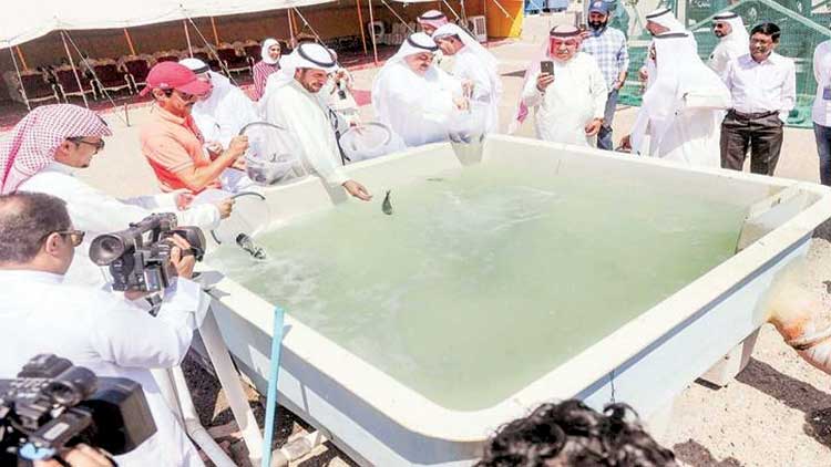 മ​ത്സ്യ​വി​ഭ​വ അ​തോ​റി​റ്റി​യു​ടെ  മീ​ൻ വ​ള​ർ​ത്ത​ൽ പ​ദ്ധ​തി വി​ജ​യം