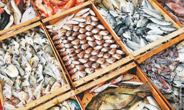 മ​ത്സ്യ ഉ​ൽ​പാ​ദ​ന മേ​ഖ​ല​യു​ടെ വ​ള​ർ​ച്ച​ക്ക്​ ഒ​രു​ങ്ങു​ന്ന​ത്​ നി​ര​വ​ധി പ​ദ്ധ​തി​ക​ൾ