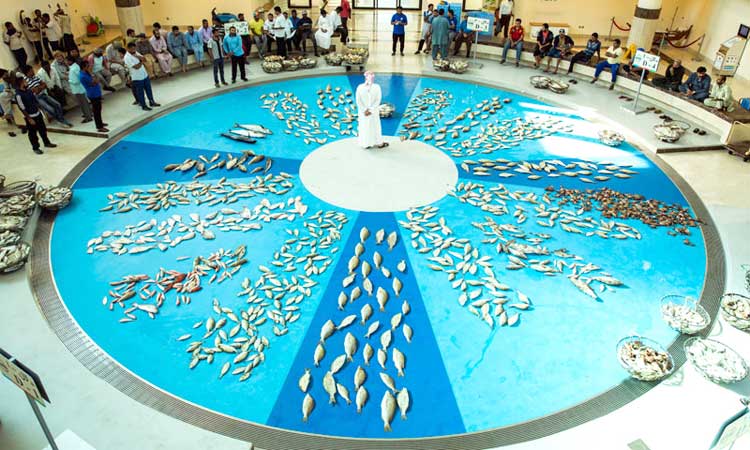 നിയന്ത്രണം നീങ്ങി; ഷാഫിയും ഷേരിയും വീണ്ടും വിപണിയിൽ