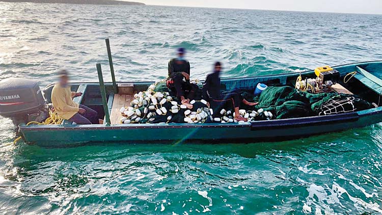 അനധികൃത മത്സ്യബന്ധനം: വിദേശികൾ അറസ്​റ്റിൽ