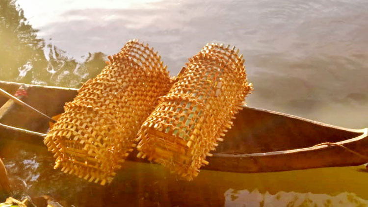 മീനില്ലാതെ ചോറ് ഇറങ്ങാത്തവർ വിഷമിക്കേണ്ട, കയ്യൂരിൽ ചെമ്പല്ലിക്കൂടുണ്ട്​