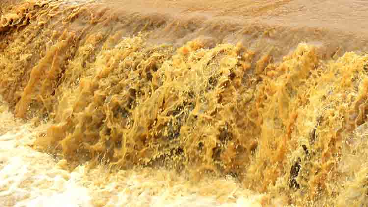 പ്ര​ള​യം: നാ​ടി​െൻറ നോ​വി​നൊ​പ്പം പ്ര​വാ​സി മ​ന​സ്സ്​