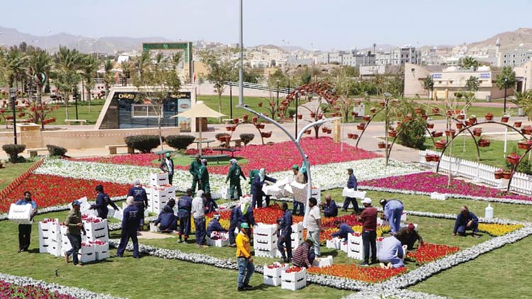 ​ത്വാഇഫ്​ പുഷ്​പമേളക്ക്​ ഒരുക്കങ്ങൾ തുടങ്ങി