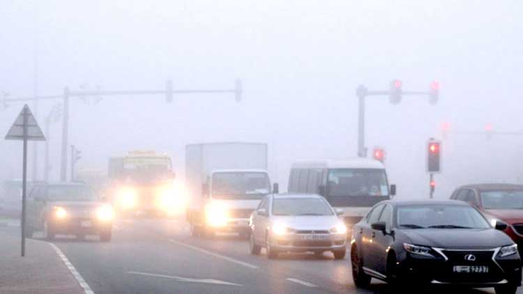 ഡ്രൈവിങ്ങിൽ ജാഗ്രത വേണം; പുലരിയിൽ മൂടൽമഞ്ഞ് കനക്കുന്നു
