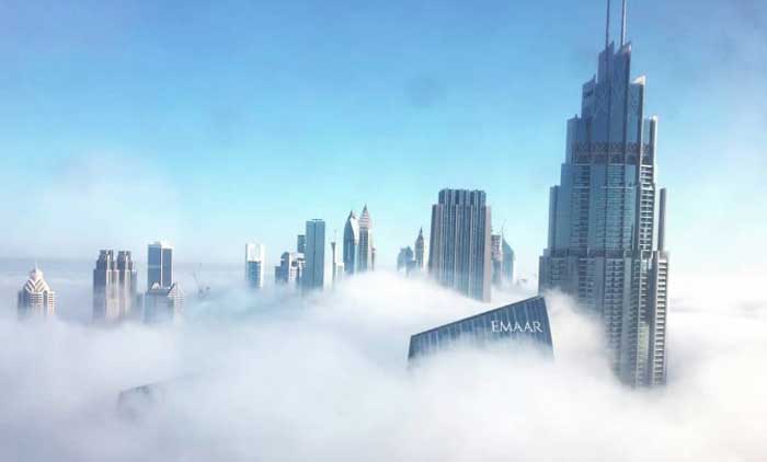 മൂ​ട​ൽ മ​ഞ്ഞ്​; വി​വി​ധ സ്​​ഥ​ല​ങ്ങ​ളി​ൽ വാ​ഹ​നാ​പ​ക​ടം