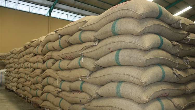 2519.914 മെട്രിക് ടൺ ഭക്ഷ്യധാന്യം ഗോഡൗണുകളിൽ നശിച്ചു