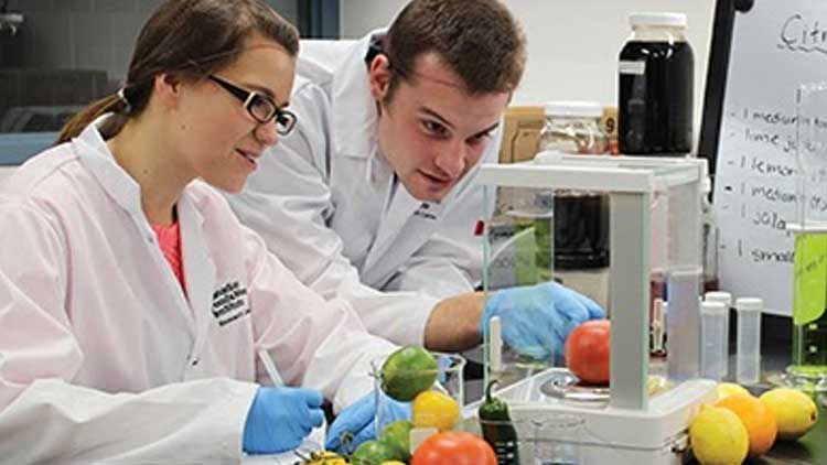 എൻജിനീയറിങ്ങിന്‍റെ പുതി‍യ മുഖം