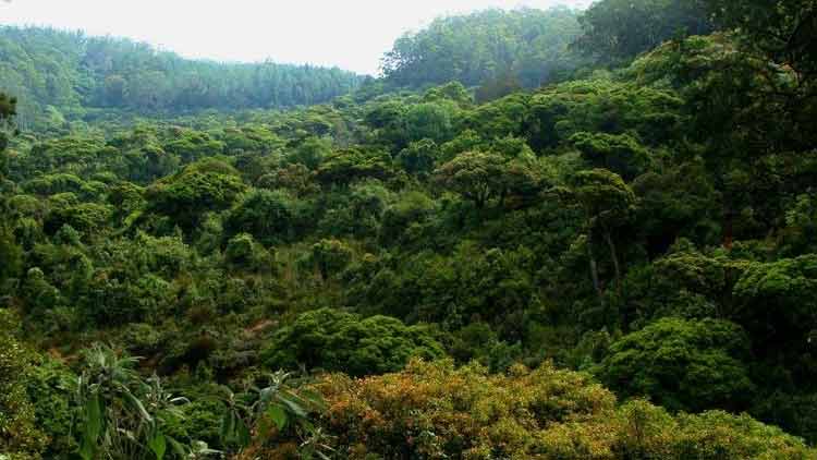 പരിസ്ഥിതിലോല മേഖല പ്രഖ്യാപനം: അപാകതകളുണ്ടെങ്കിൽ പരിശോധിക്കുമെന്ന് മന്ത്രി