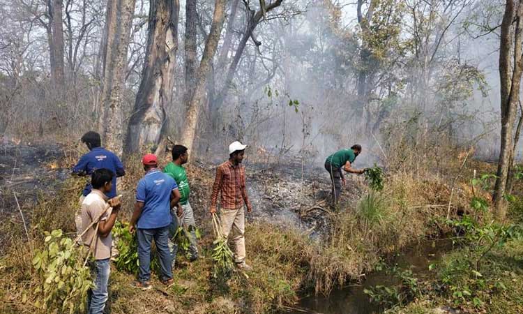 ബന്ദിപ്പൂരിലെ കാട്ടുതീ ദേശീയ ദുരന്തമായി പ്രഖ്യാപിക്കണമെന്ന്​ അന്വേഷണ റിപ്പോർട്ട്​