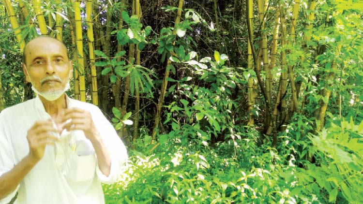 നാ​ട്ടി​ൽ കാ​ട് വ​ള​ർ​ത്തി പ്ര​കൃ​തി ‘ഡോ​ക്ട​ർ’