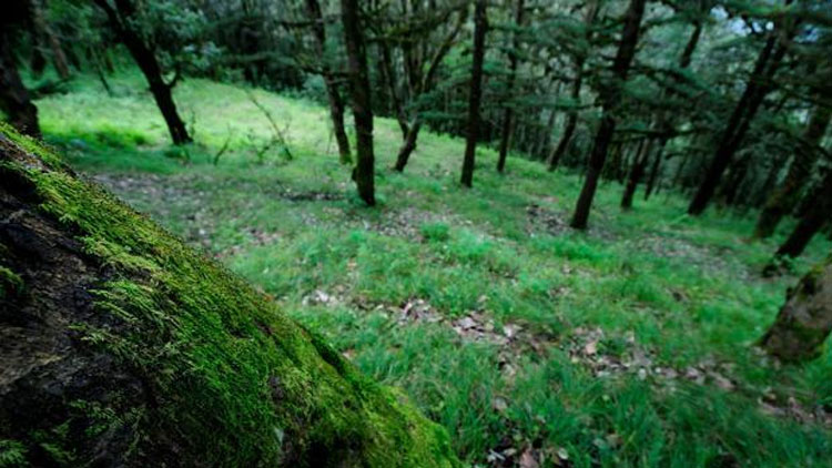 വനാവകാശ നിയമം അട്ടിമറിച്ച് ആദിവാസികളെ കുടിയിറക്കാൻ നീക്കം