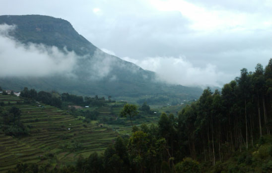 ഇടുക്കിയില്‍ അരലക്ഷം ഏക്കറിലേറെ വനഭൂമിക്ക് പട്ടയം നല്‍കാന്‍ ഉത്തരവ്