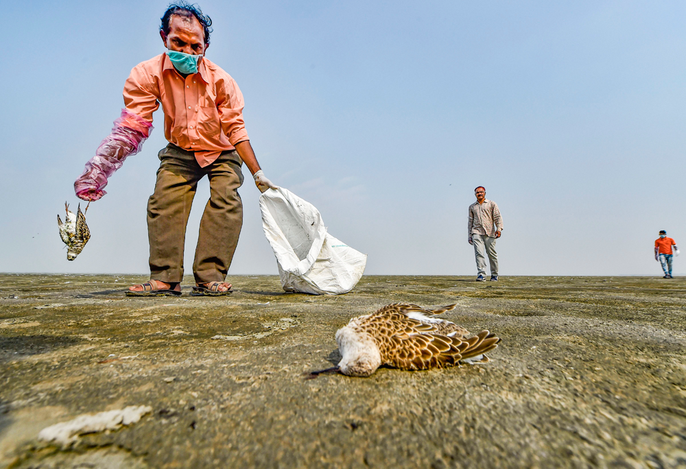 പാ​തി​മു​റി​ഞ്ഞ ചി​റ​ക​ടി...