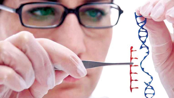 ജനിതകപരീക്ഷണങ്ങളുടെ വര്‍ത്തമാനങ്ങള്‍