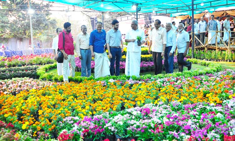 കണ്ണൂർ പുഷ്​പോത്സവത്തിന്​ തുടക്കമായി