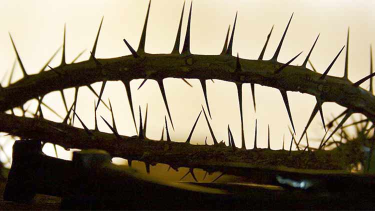 നി​​ശ്ശ​​ബ്​​​ദ​​ത​​യു​​ടെ വെ​​ളി​​പാ​​ട്