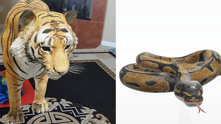 വീട്ടിനുള്ളിൽ പുലിയെ വരുത്താം​; ഫോണിൽ ഇങ്ങനെ ചെയ്​താൽ മതി