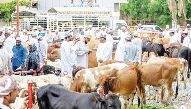 ബ​ലി​പെ​രു​ന്നാ​ൾ ഒ​രു​ക്ക​ങ്ങ​ൾ ആ​രം​ഭി​ച്ചു
