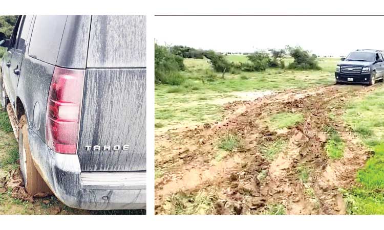 ഹരിതപ്രദേശങ്ങൾ നശിപ്പിച്ചാൽ ജയില്‍ ശിക്ഷ; 20,000 റിയാല്‍ പിഴ