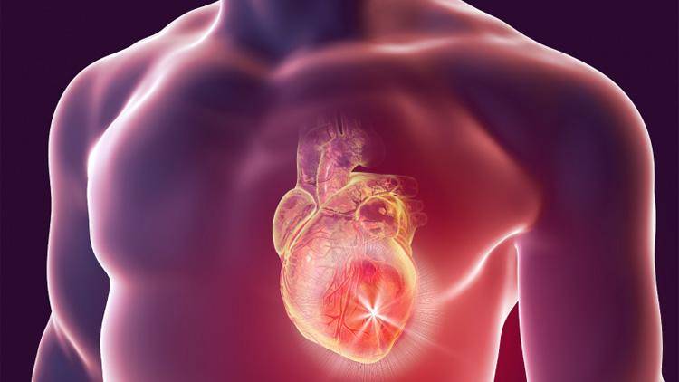 താളം തെറ്റുന്ന ഹാർട്ടിനെതിരെ ഒരു അറ്റാക്ക്!