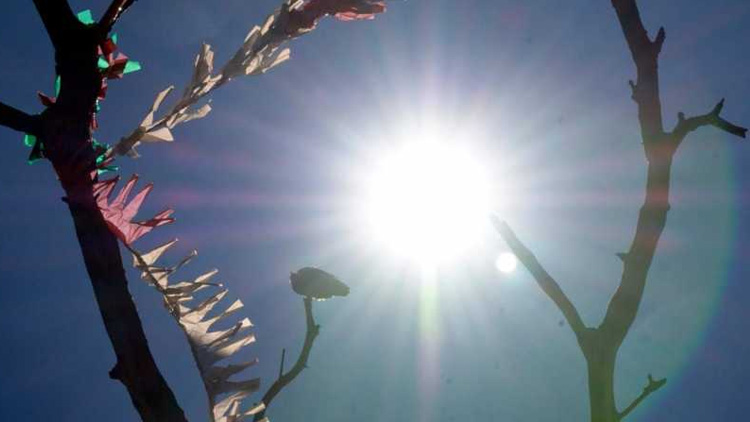 സംസ്ഥാനം ശൈത്യകാല ഉഷ്​ണതരംഗത്തിലേക്ക്​