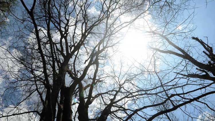 മകരമഞ്ഞിലും കേരളത്തിന് പൊള്ളുന്നു