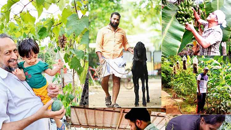 ഒരു കൂട്ടം ടെക്കികൾ അടുക്കളത്തോട്ടമുണ്ടാക്കിയ കഥ; ഹലോ ഫാർമർ