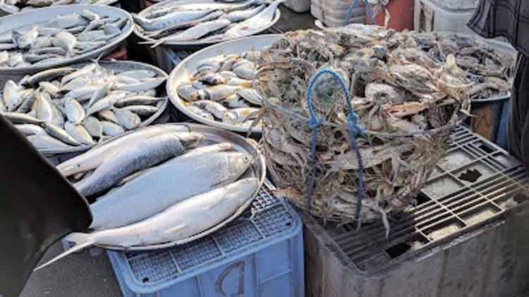 ഹി​ദ്ദ് മ​ത്സ്യ മാ​ര്‍ക്ക​റ്റ് പ്ര​വ​ര്‍ത്ത​ന  സ​മ​യം ദീ​ര്‍ഘി​പ്പി​ച്ചു