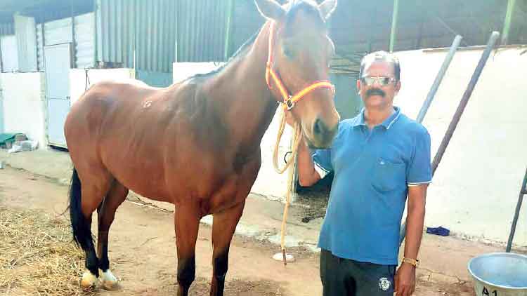 തീ​റ്റ​യും സ​വാ​രി​യും മു​ട​ങ്ങി; ലോ​ക്ഡൗ​ണി​ൽ ക​ടി​ഞ്ഞാ​ൺ വീ​ണ് കു​തി​ര​ക​ളും