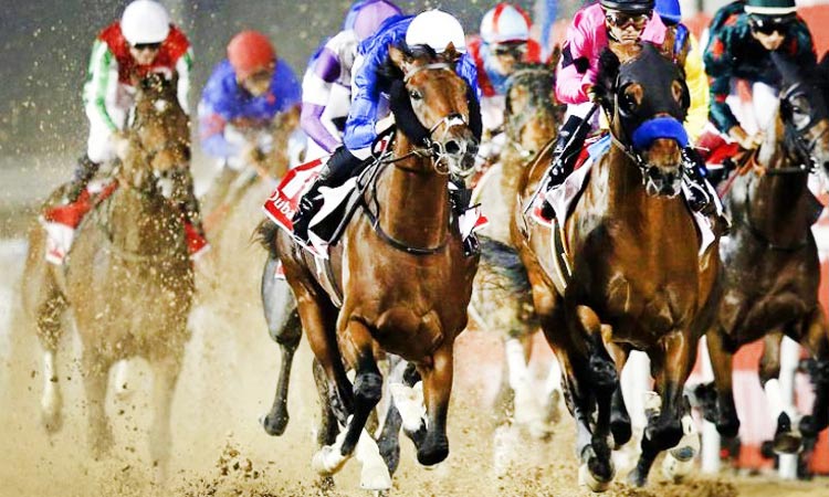 ദുബൈ വേൾഡ് കപ്പ് ഇന്ന്; സമ്മാനം 35 ദശലക്ഷം ഡോളർ ദുബൈ വേൾഡ് കപ്പ് ഇന്ന്; സമ്മാനം 35 ദശലക്ഷം ഡോളർ