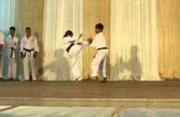 തയ്ക്വാണ്‍ഡോ സംസ്ഥാന ചാമ്പ്യന്‍ഷിപ് നിലമ്പൂരില്‍