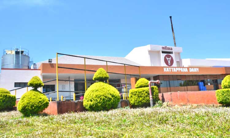 മിൽമ കട്ടപ്പന ​െഡയറി സജ്ജം; സംഭരണശേഷി ഒരു ലക്ഷം ലിറ്റർ