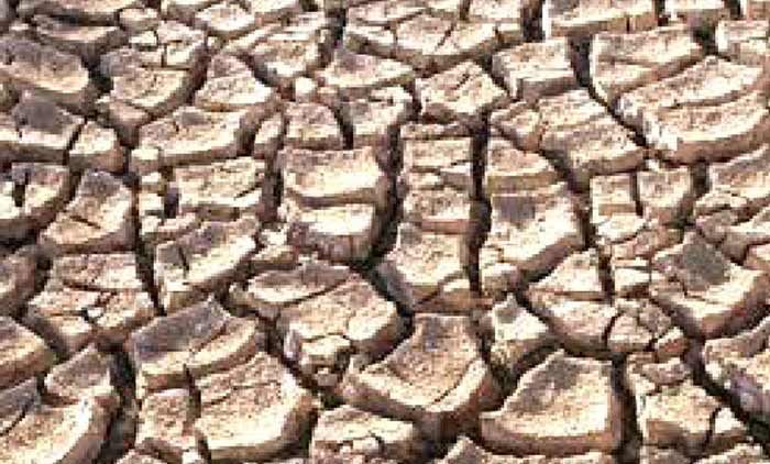 ജില്ലയിലെ 27 പഞ്ചായത്തുകളിൽ കുടിവെള്ളക്ഷാമം രൂക്ഷം