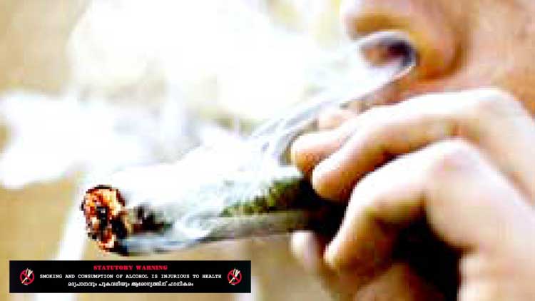 പശ മുതൽ മിഠായി വരെ... ലഹരിയിൽ പുതുവഴികൾ