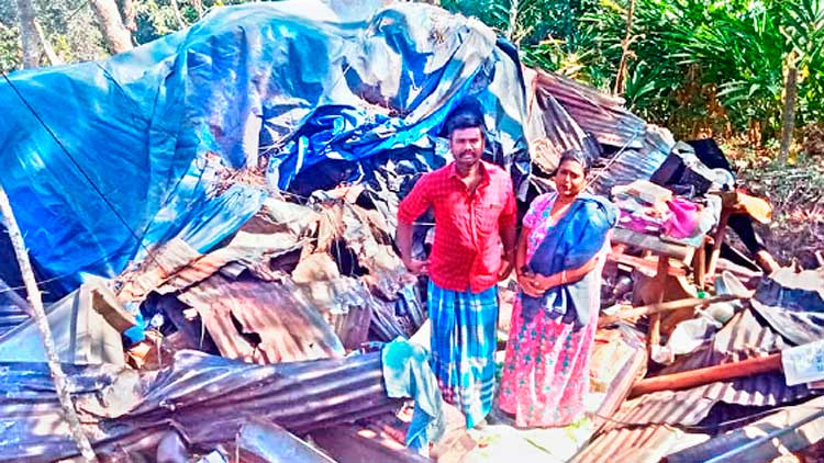 പൂ​പ്പാ​റ ചൂ​ണ്ട​ലി​ല്‍ വീ​ണ്ടും കാ​ട്ടാ​ന  അ​ക്ര​മ​ണം; ര​ണ്ട് വീ​ടു​ക​ള്‍ ത​ക​ര്‍ത്തു