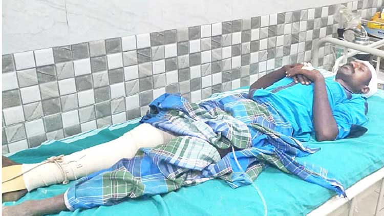 കാട്ടുപോത്തി​െൻറ ആക്രമണത്തിൽ ആദിവാസി യുവാവിന് പരിക്ക്