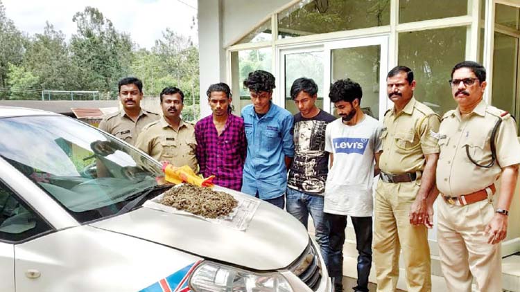 കാറി​െൻറ സീറ്റിനടിയിൽ ഒളിപ്പിച്ച് കടത്താൻ  ശ്രമിച്ച കഞ്ചാവുമായി യുവാക്കൾ പിടിയിൽ