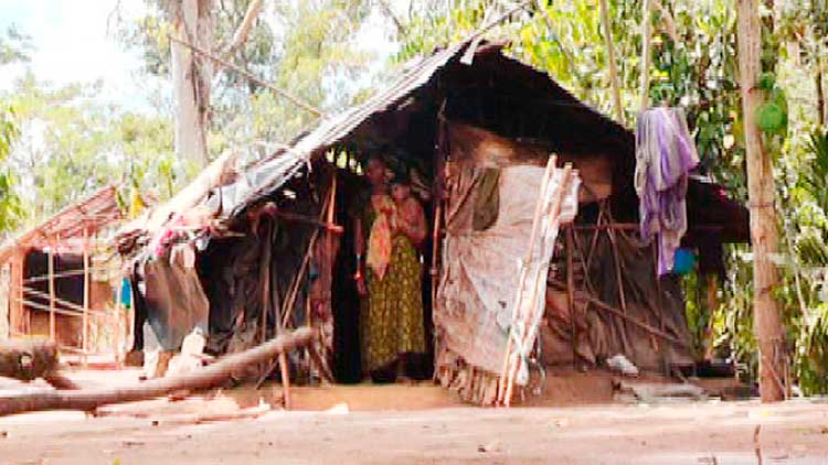 കയറിക്കിടക്കാൻ കൂരയില്ലാതെ ആദിവാസികൾ