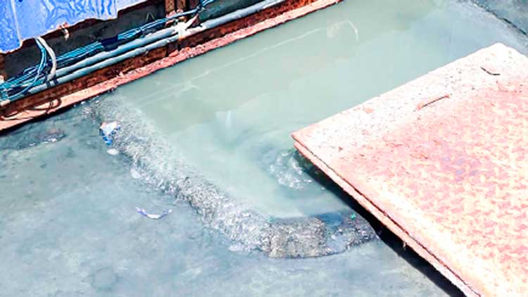 മാ​ലി​ന്യ​പ്ര​ശ്​​നം:  മ​ച്ചി​പ്ലാ​വി​ലെ ഫ്ലാ​റ്റിൽനിന്ന്​  കു​ടും​ബ​ങ്ങ​ൾ പ​ടി​യി​റ​ങ്ങു​ന്നു